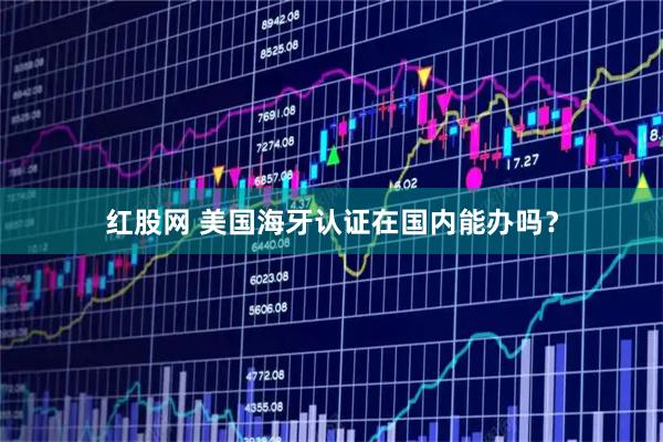 红股网 美国海牙认证在国内能办吗？