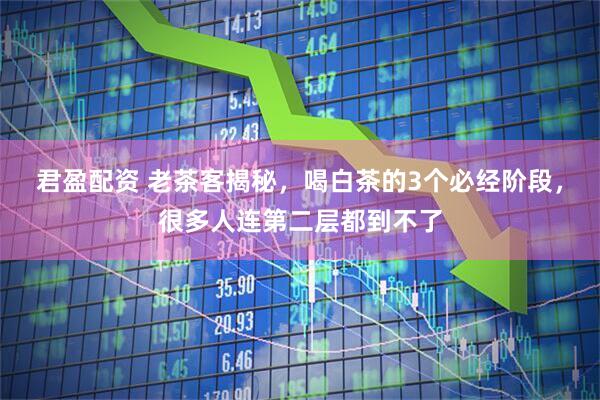 君盈配资 老茶客揭秘，喝白茶的3个必经阶段，很多人连第二层都到不了