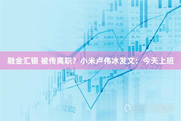 融金汇银 被传离职？小米卢伟冰发文：今天上班