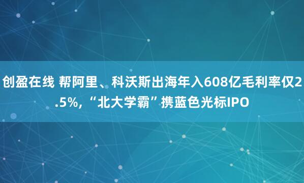 创盈在线 帮阿里、科沃斯出海年入608亿毛利率仅2.5%, “北大学霸”携蓝色光标IPO