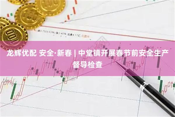 龙辉优配 安全·新春 | 中堂镇开展春节前安全生产督导检查