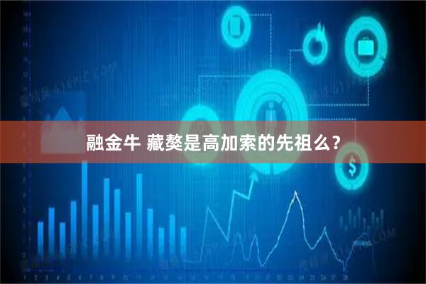 融金牛 藏獒是高加索的先祖么？